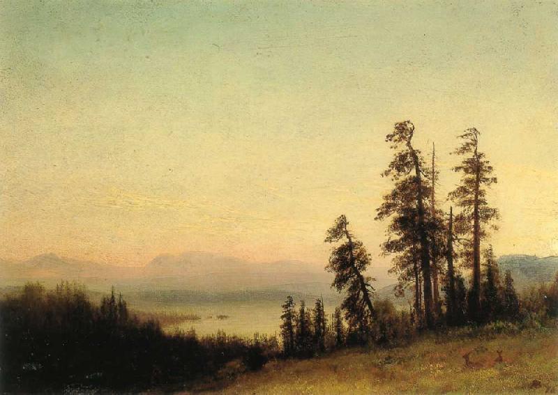 Albert Bierstadt Landscape with Deer oil painting image